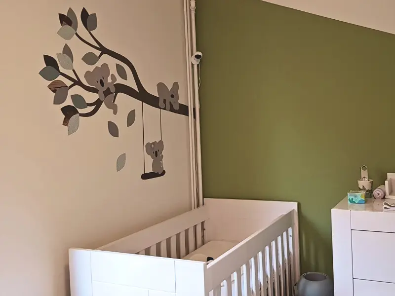 Koala behang muursticker in een groene babykamer